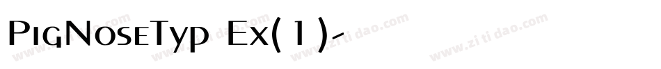 PigNoseTyp Ex(1)字体转换